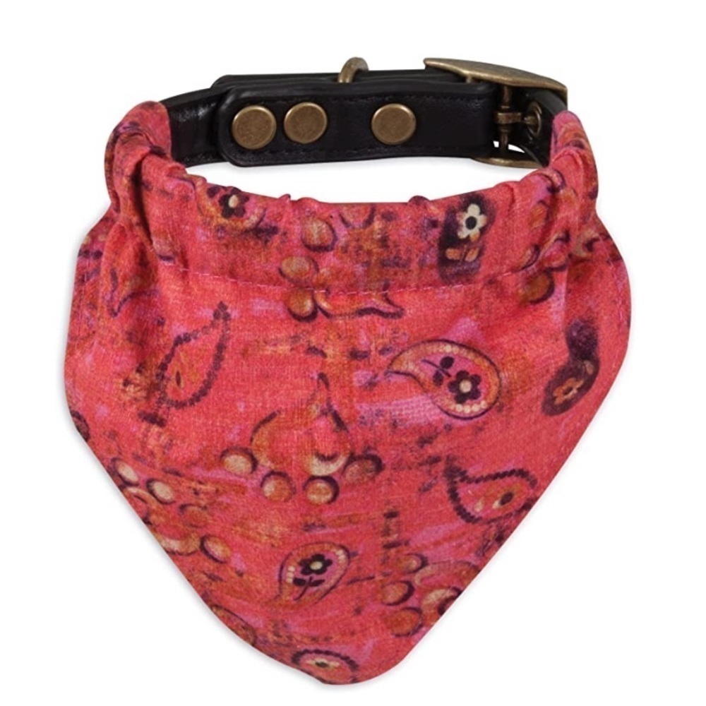 Mutt Nation Leather Collar Buckle with Slip on Bandana Small Up to 20 LB Pet